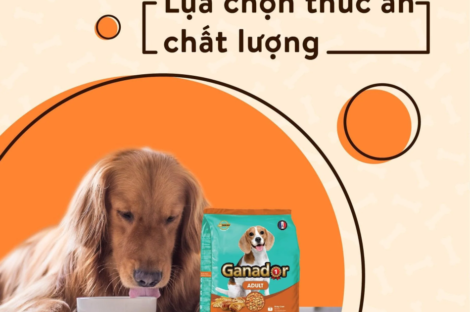 Hạt Ganador Adult Cho Chó Trưởng Thành Vị Gà Quay