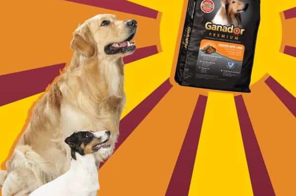 Hạt Ganador Adult Cho Chó Trưởng Thành Vị Cừu & Gạo