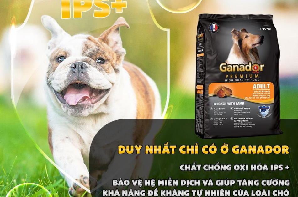 Hạt Ganador Adult Cho Chó Trưởng Thành Vị Cừu & Gạo