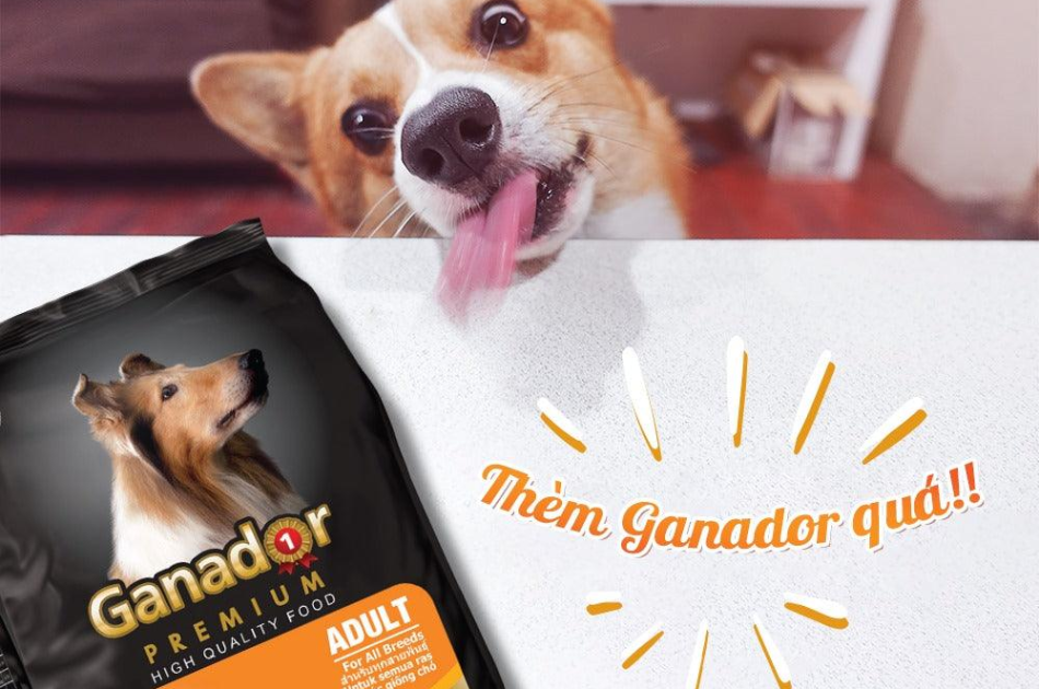 Hạt Ganador Adult Cho Chó Trưởng Thành Vị Cừu & Gạo