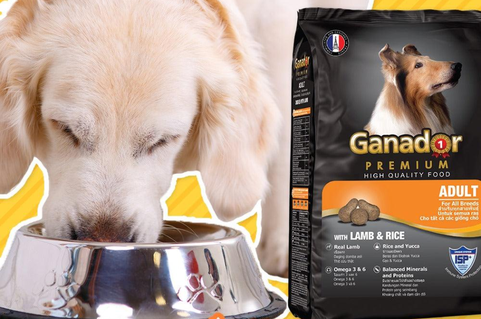 Hạt Ganador Adult Cho Chó Trưởng Thành Vị Cừu & Gạo