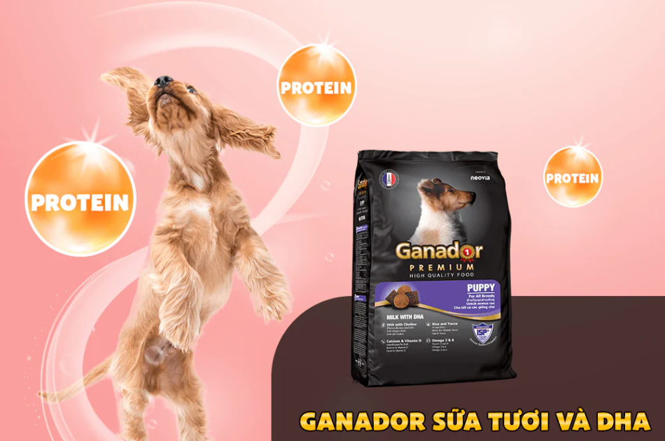 Hạt Ganador Puppy Cho Chó Con Vị Sữa & DHA