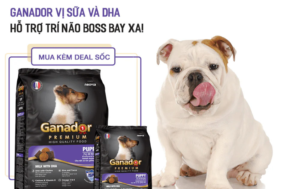 Hạt Ganador Puppy Cho Chó Con Vị Sữa & DHA