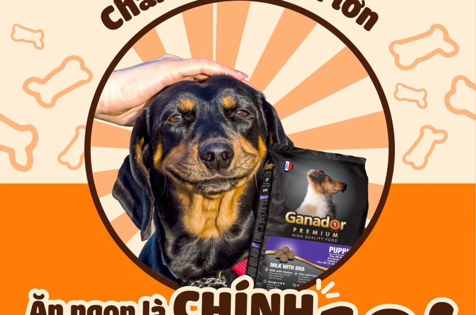 Hạt Ganador Puppy Cho Chó Con Vị Sữa & DHA