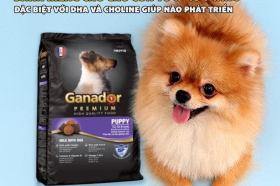 Hạt Ganador Puppy Cho Chó Con Vị Sữa & DHA