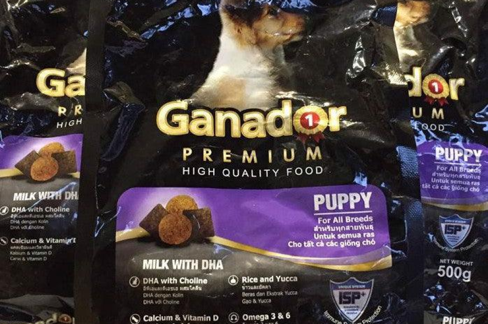 Hạt Ganador Puppy Cho Chó Con Vị Sữa & DHA