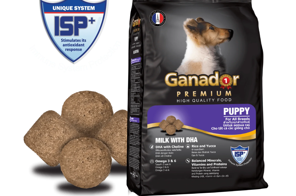 Hạt Ganador Puppy Cho Chó Con Vị Sữa & DHA