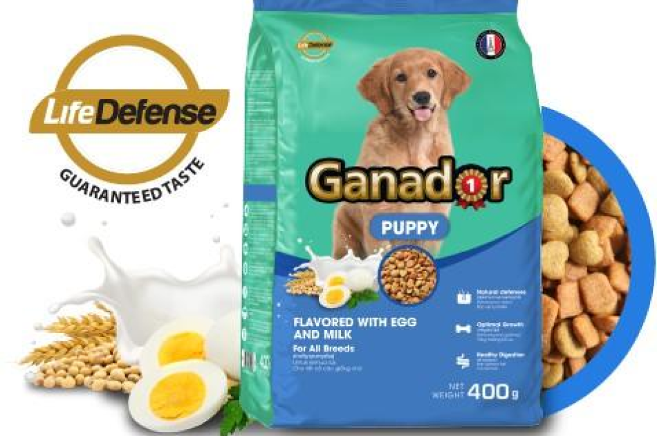 Hạt Ganador Puppy Chó Con Vị Trứng & Sữa