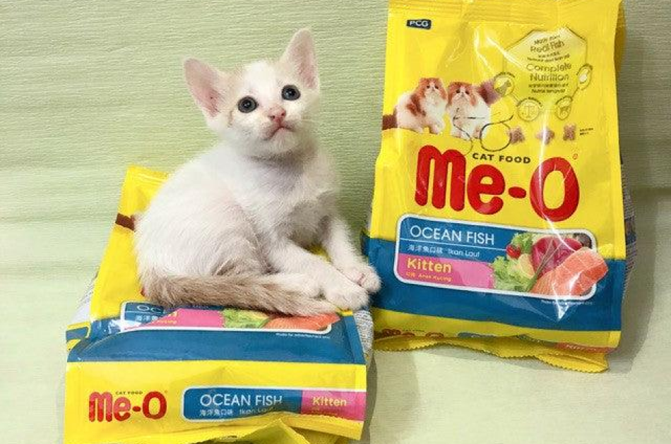 Hạt Cho Mèo Con Me-O Kitten Vị Cá Biển