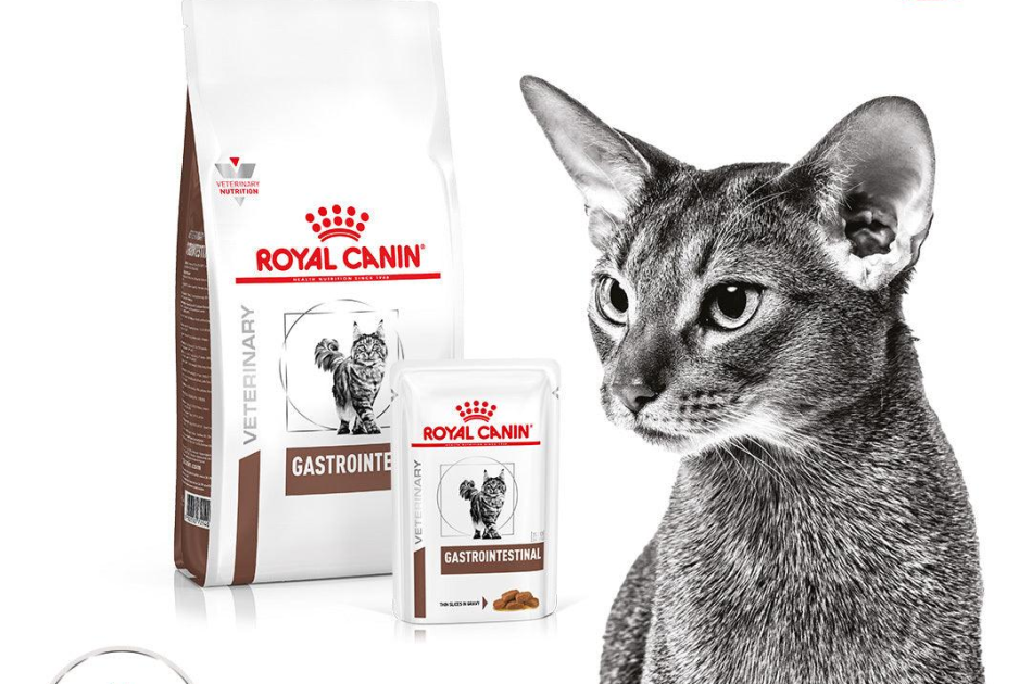 Thức Ăn Hạt Điều Trị Bệnh Cho Mèo Hỗ Trợ Tiêu Hoá Royal Canin Gastrointestinal