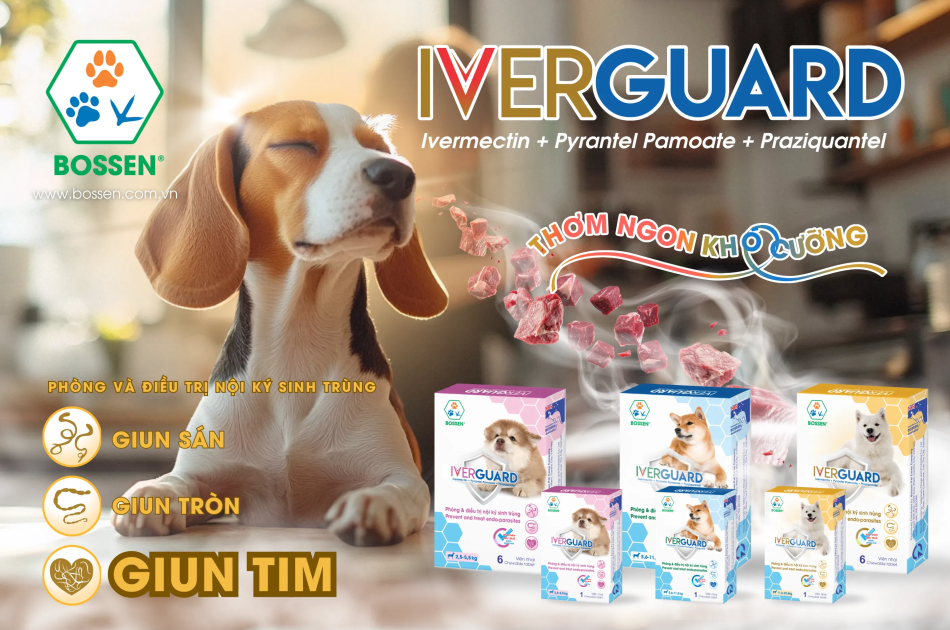 Phòng và điều trị nội ký sinh trùng