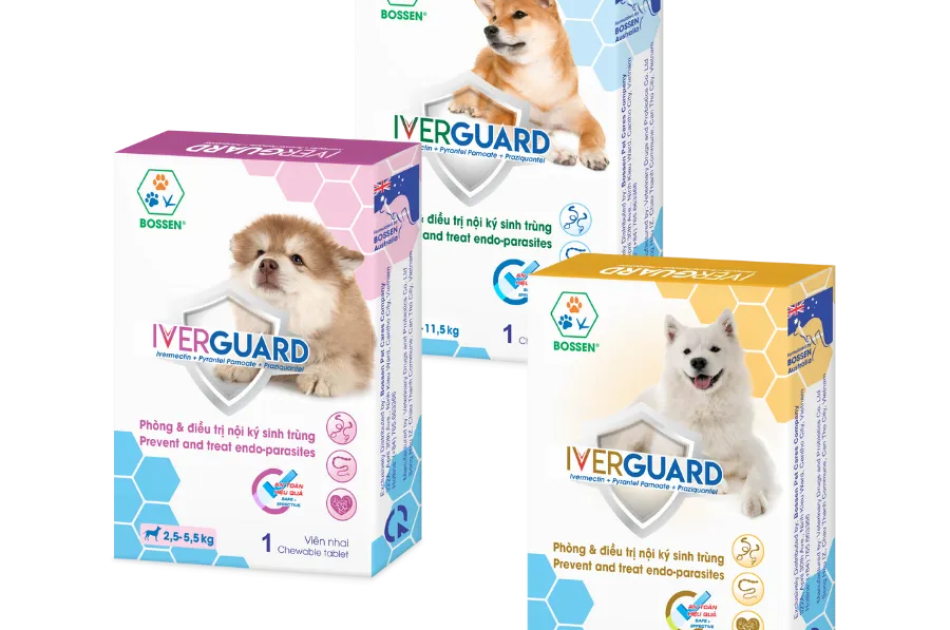 Phòng và điều trị nội ký sinh trùng