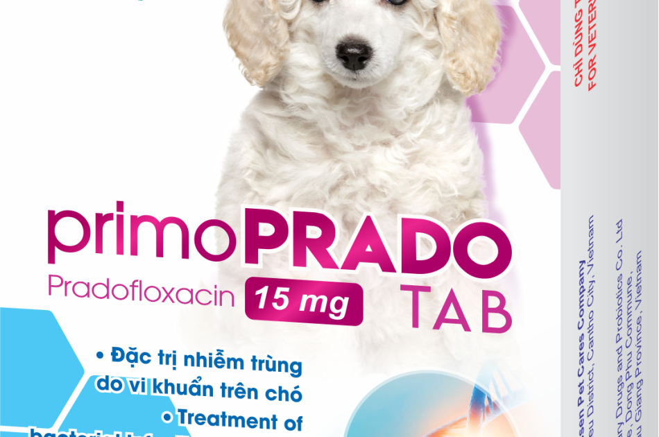 Đặc trị nhiễm trùng do vi khuẩn trên chó.