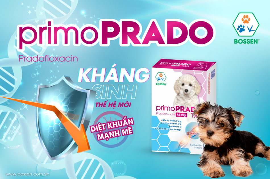 Đặc trị nhiễm trùng do vi khuẩn trên chó.