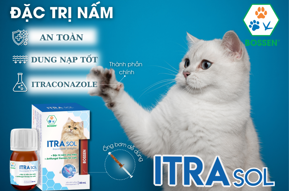 Đặc trị nấm cho mèo