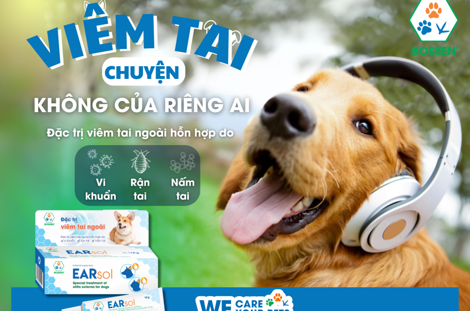 Đặc trị viêm tai