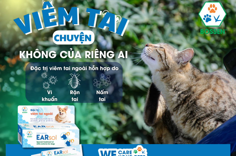 Đặc trị viêm tai