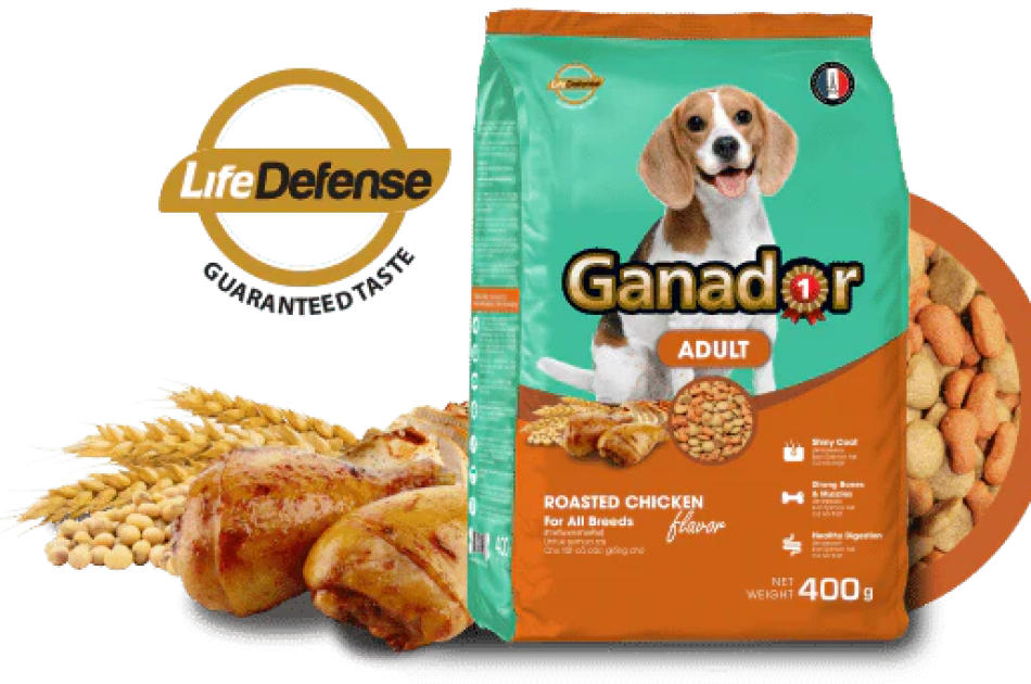 Hạt Ganador Adult Cho Chó Trưởng Thành Vị Gà Quay