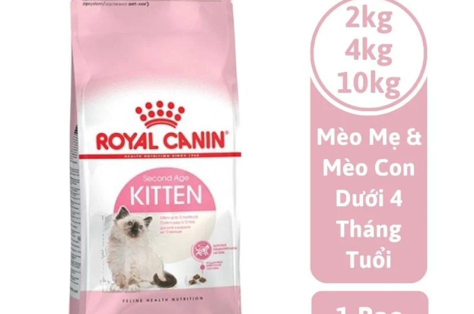Thức Ăn Hạt Cho Mèo Con Royal Canin Kitten 36