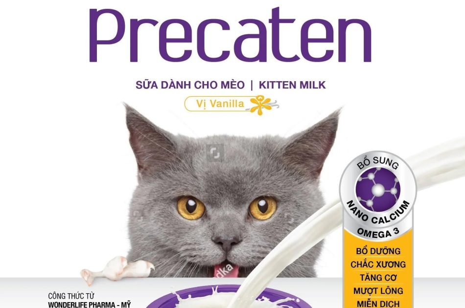 Sữa Bột Mèo Dr.Kyan Precaten Hương Vanilla