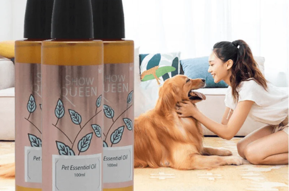Tinh Dầu Dưỡng Lông Khử Mùi Cho Chó Mèo Show Queen 100ml