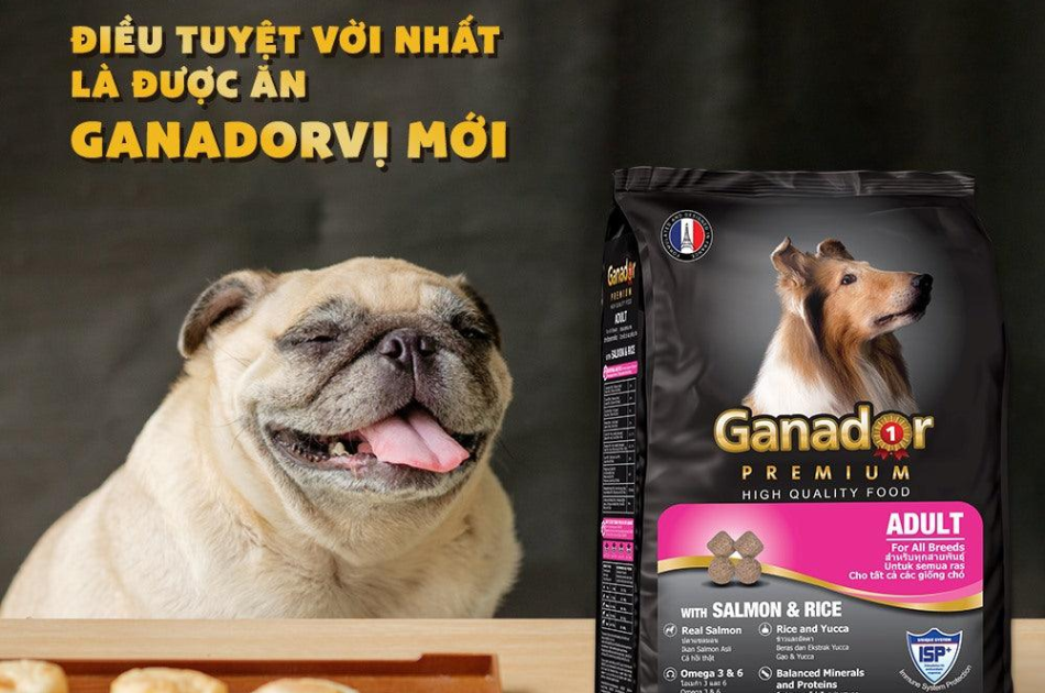 Hạt Ganador Adult Cho Chó Trưởng Thành Vị Cá Hồi & Gạo