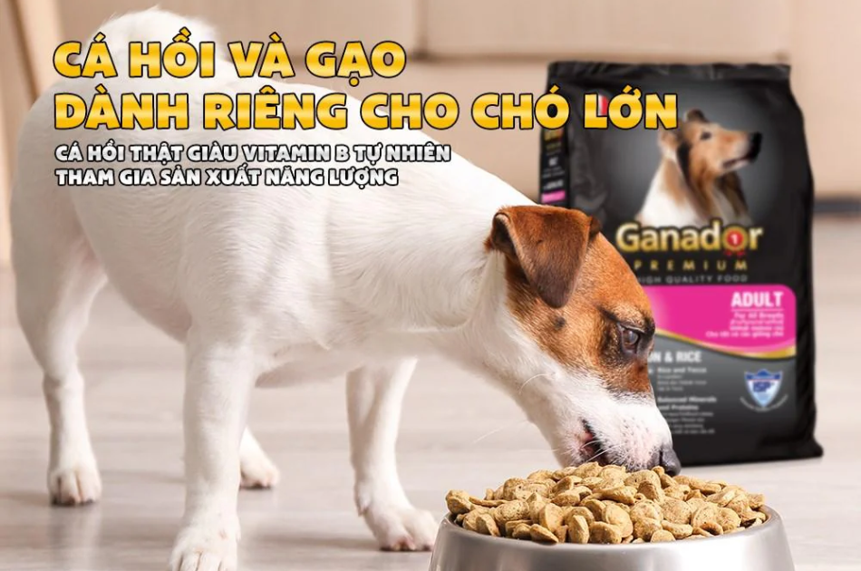 Hạt Ganador Adult Cho Chó Trưởng Thành Vị Cá Hồi & Gạo