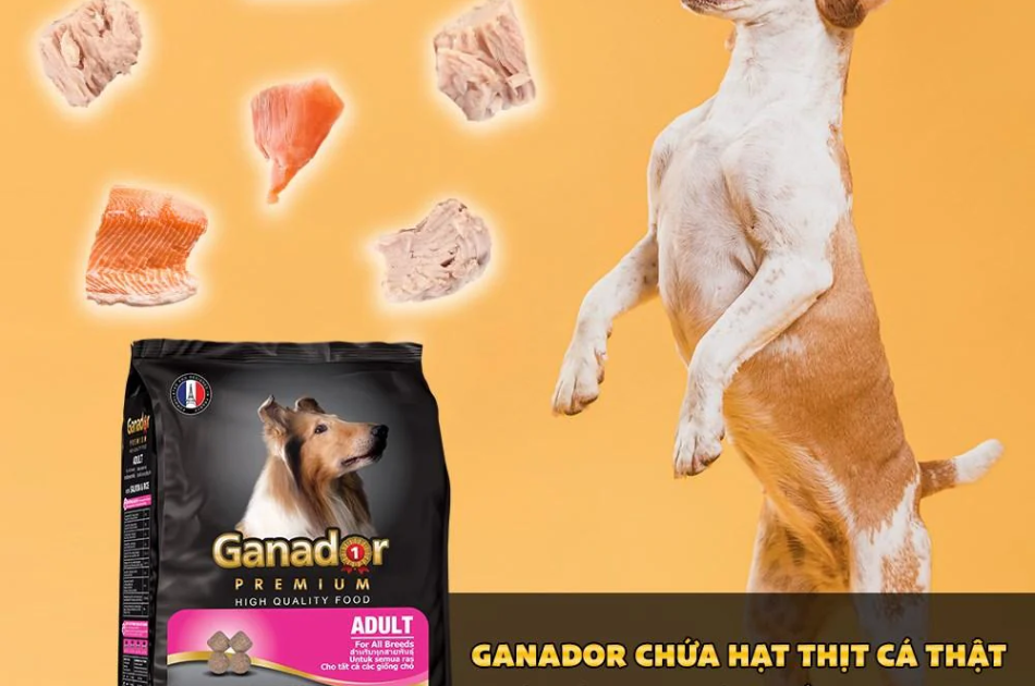 Hạt Ganador Adult Cho Chó Trưởng Thành Vị Cá Hồi & Gạo