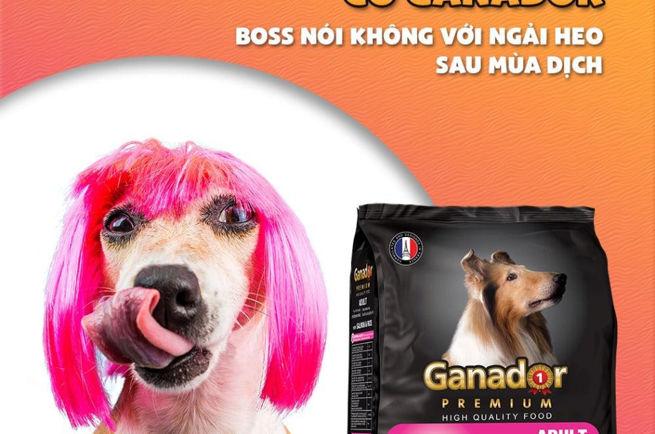 Hạt Ganador Adult Cho Chó Trưởng Thành Vị Cá Hồi & Gạo