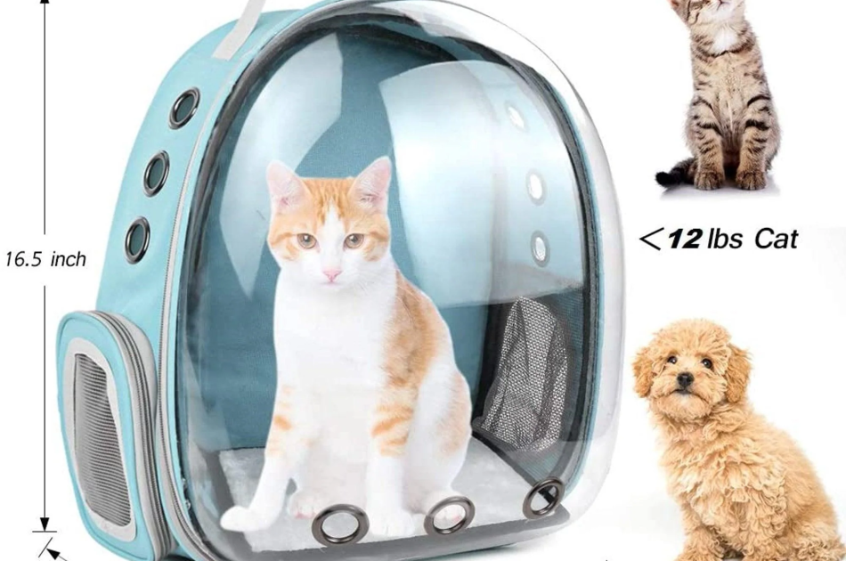 Balo Phi Hành Gia Trong Suốt Vận Chuyển Chó Mèo