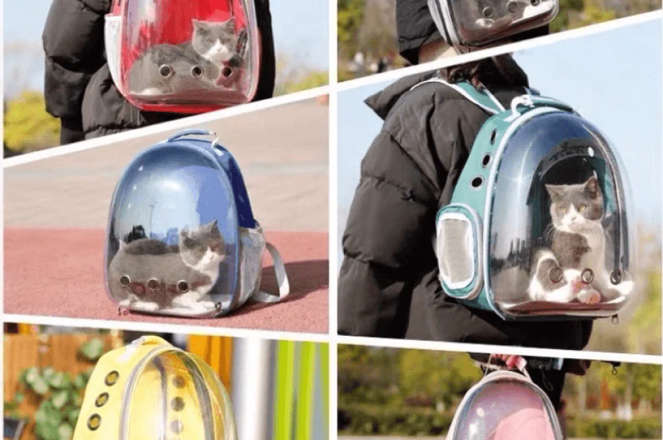 Balo Phi Hành Gia Trong Suốt Vận Chuyển Chó Mèo