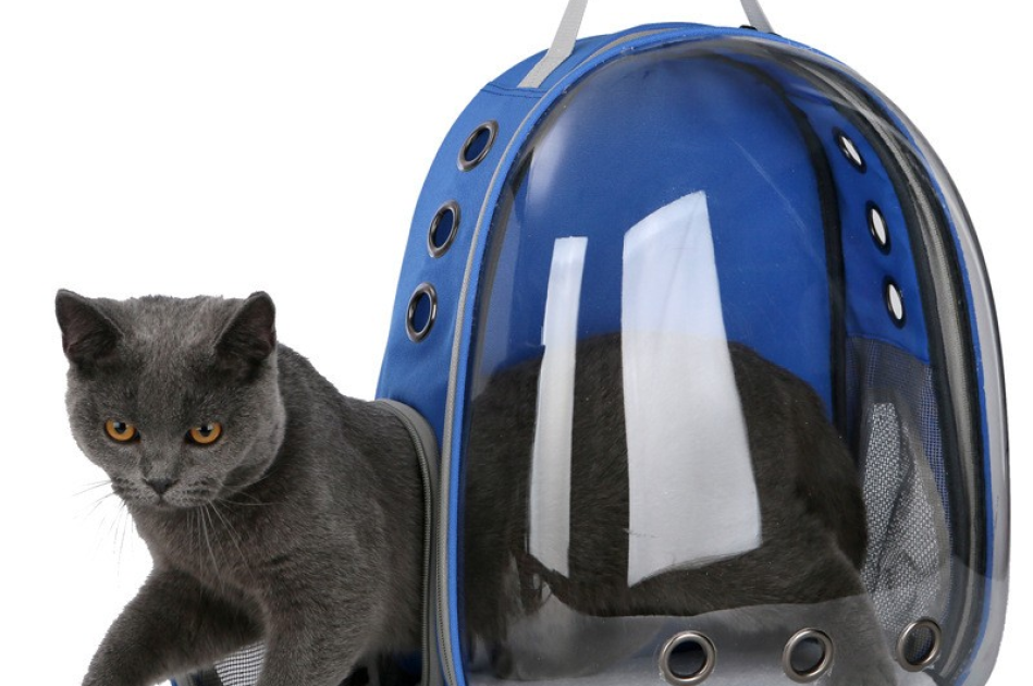 Balo Phi Hành Gia Trong Suốt Vận Chuyển Chó Mèo