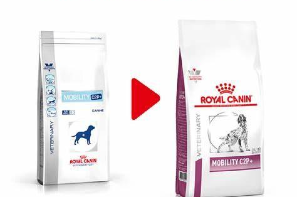 Thức Ăn Hạt Điều Trị Bệnh Cho Chó Hỗ Trợ Xương Khớp Royal Canin Mobility C2P+ 2kg