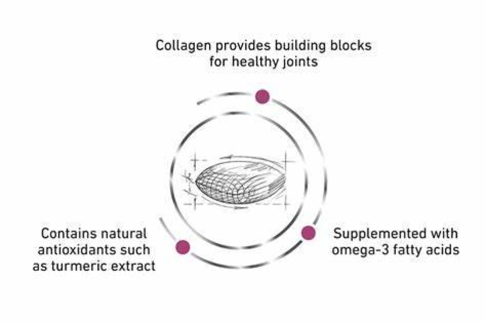 Thức Ăn Hạt Điều Trị Bệnh Cho Chó Hỗ Trợ Xương Khớp Royal Canin Mobility C2P+ 2kg