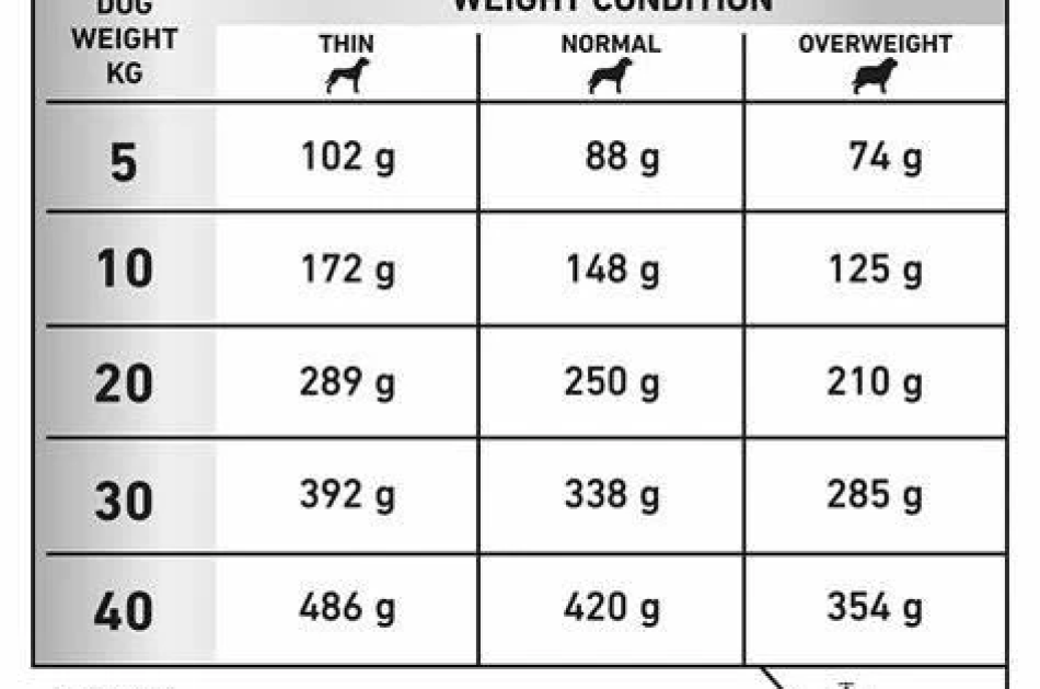 Thức Ăn Hạt Điều Trị Bệnh Cho Chó Hỗ Trợ Xương Khớp Royal Canin Mobility C2P+ 2kg