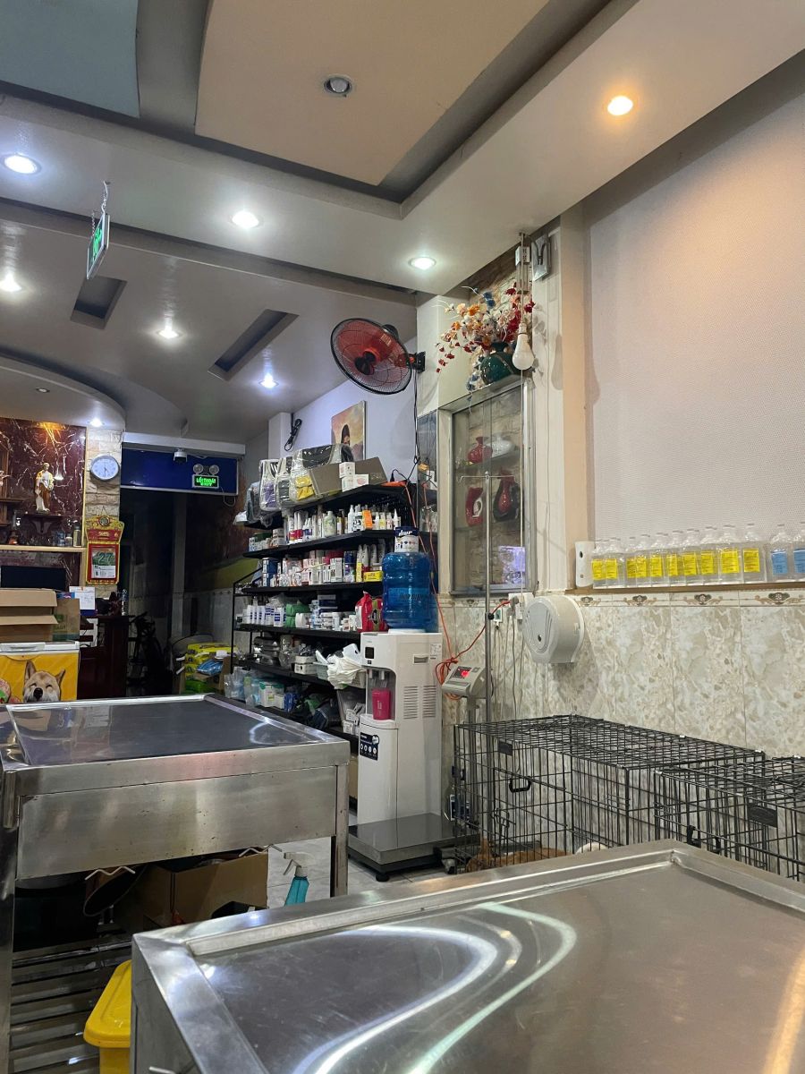 Bệnh viện thú y Sing Pet