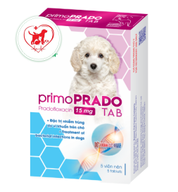 Đặc trị nhiễm trùng do vi khuẩn trên chó.