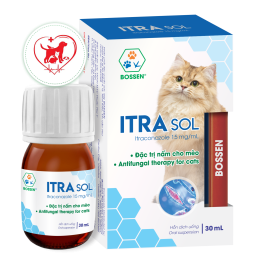 Đặc trị nấm cho mèo