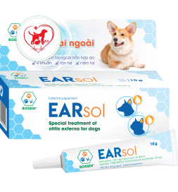 Đặc trị viêm tai